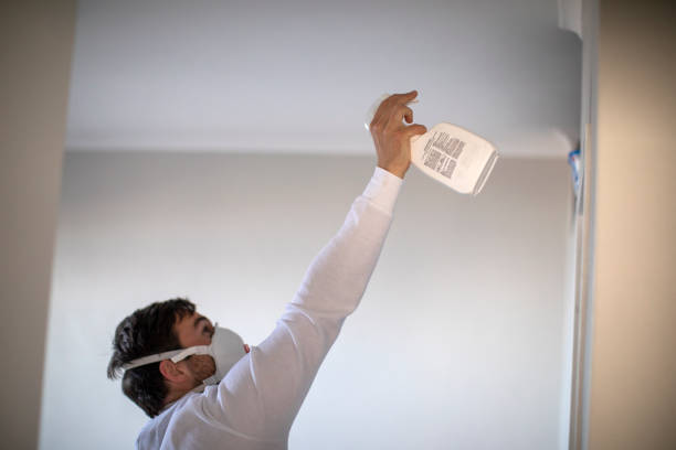 Best Industrial Mold Remediation in Wchester, IN