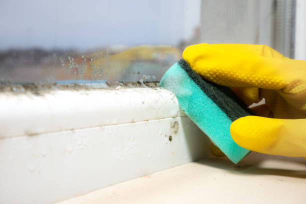 Best HVAC Mold Remediation in Wchester, IN